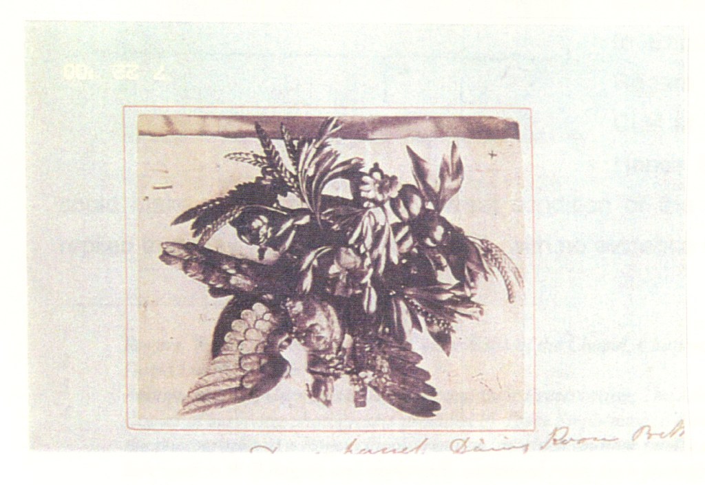 Photograph: excerpt from WG Rogers' notebooks; reproduced with kind permission of Joyce Stephenson