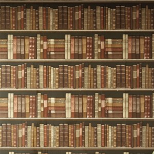 Bookcase wallpaper from http://www.housetohome.co.uk/product-idea/picture/next-autumn-winter-2012-trends-10-of-the-best/8
